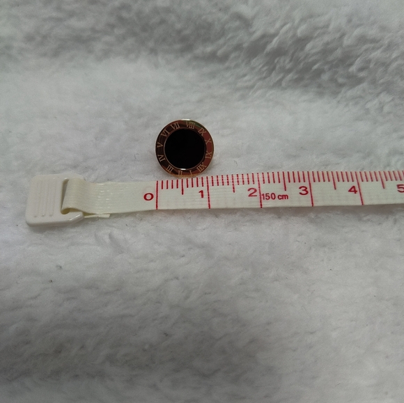 New 18K Rose Gold Plated Titanium Steel Roman Numeral Stud Earrings - Picture 4 of 5